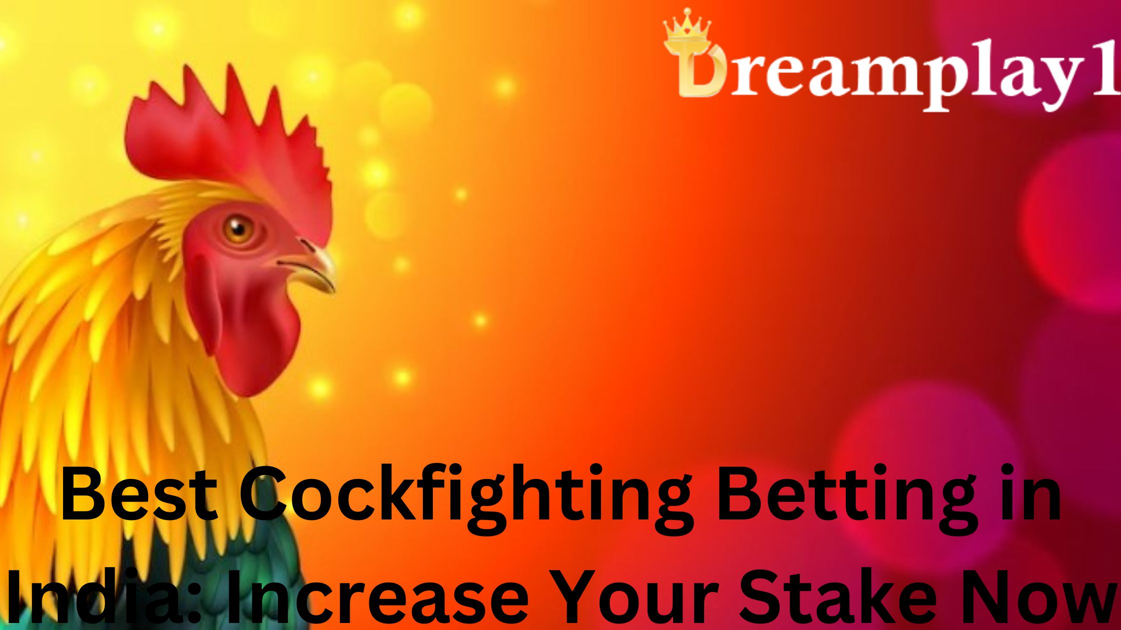 Best Cockfighting Betting in India