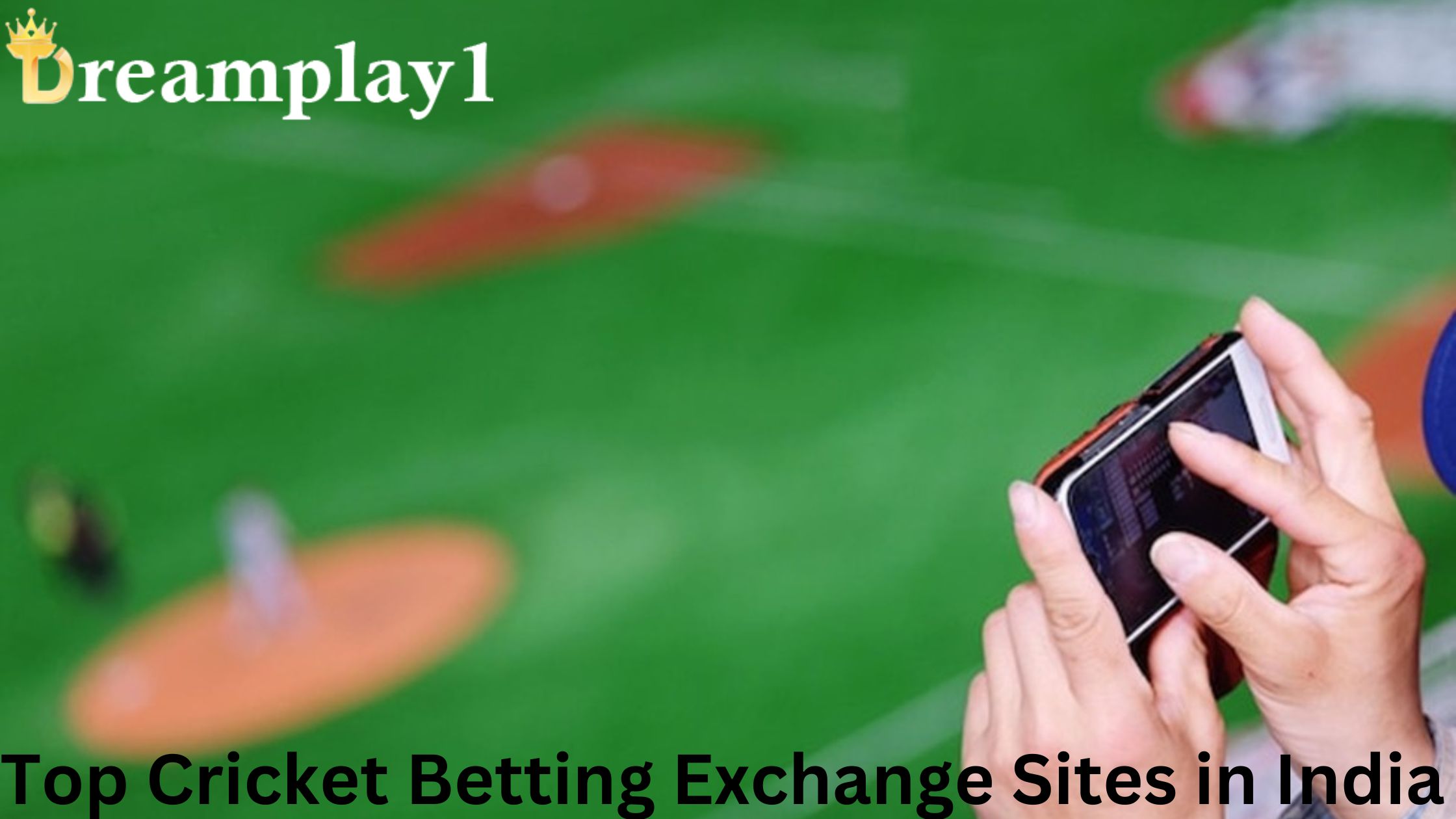 Cricket Exchange Betting App In India